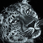 Profile picture for user Станислав С.